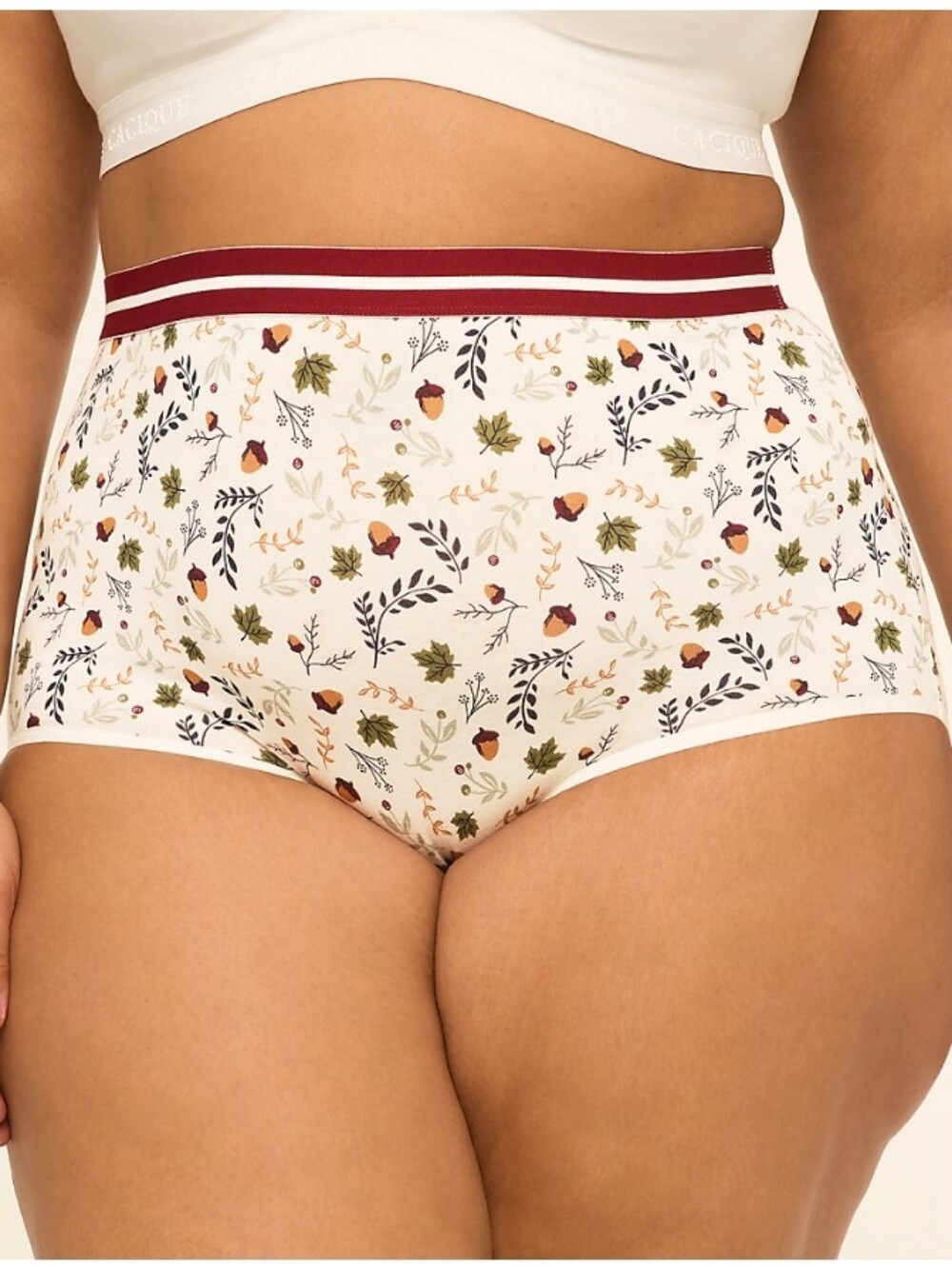 Cacique 18/20 Cotton High Waist Brief